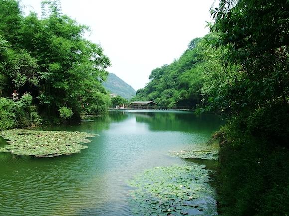【全域旅游图片】小茶叶带动永川全域旅游发展