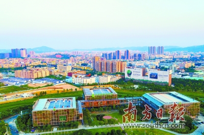 【县域联播】深圳龙岗打造低碳发展之城共享绿色生态之福