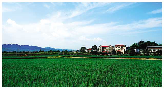 【县域联播】重庆垫江：最美乡村如画卷洁净靓丽新家园