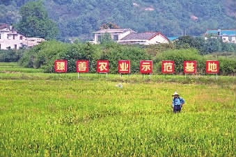 【县域联播】长沙开福区：“调、治、创、扶、盘”打造省会后花园