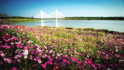 【县域生态】全面推进河长制重塑郑州水生态