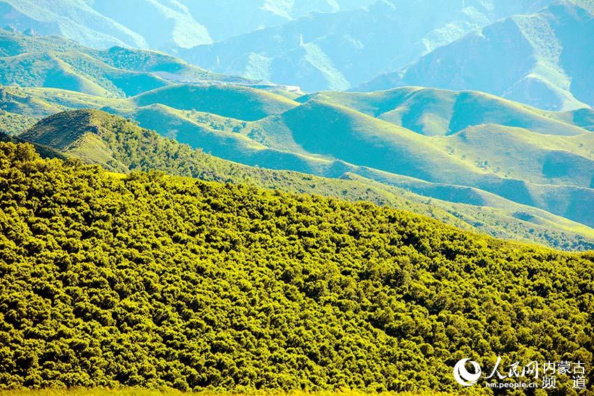 èªæå¼åæµ©ç¹å¤§éå±±ç¾æ¯ãä¹ç æ