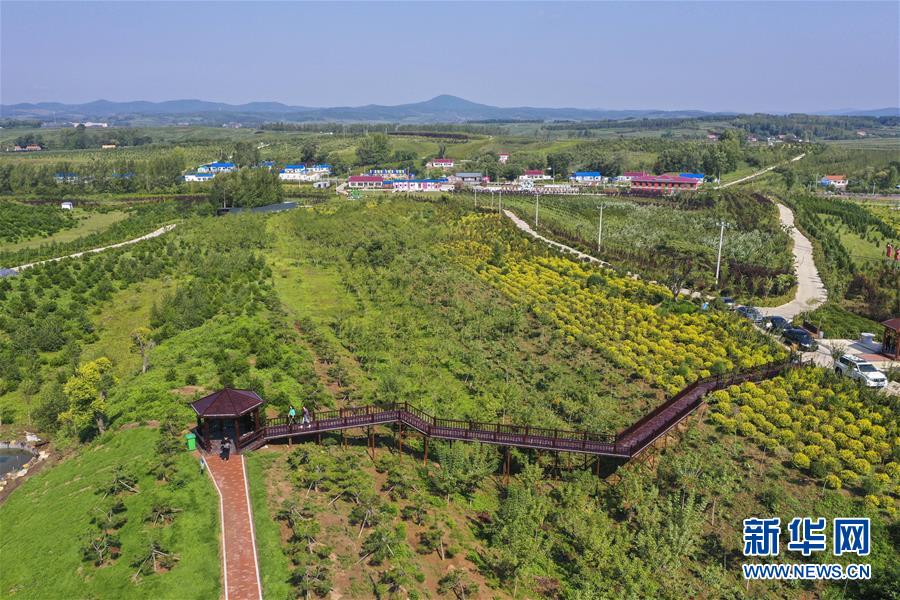 走向我们的小康生活丨黑土地上是我家——在吉林，一瞥中国东北乡村美丽未来