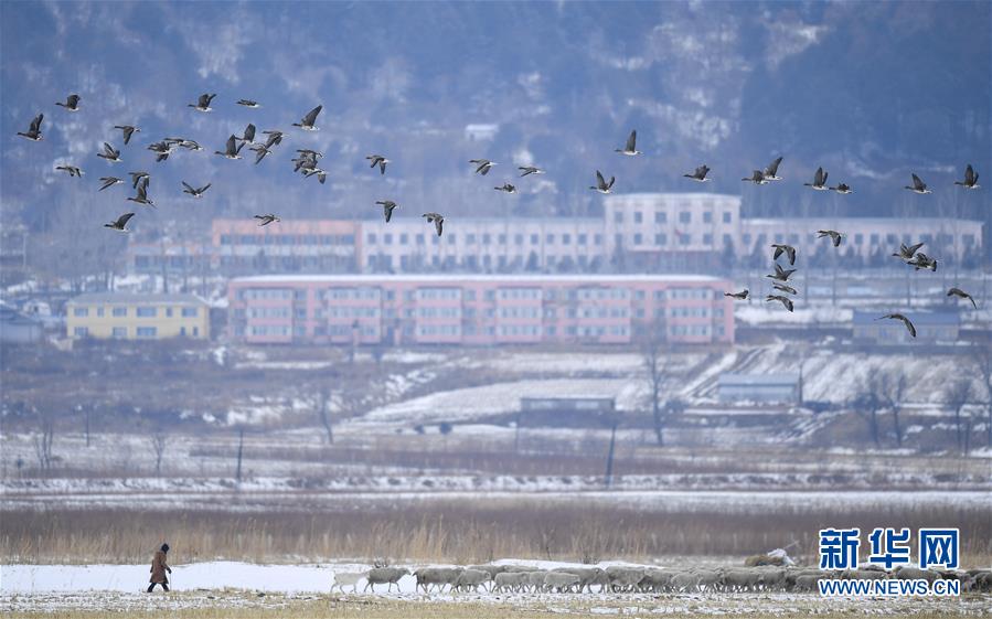 走向我们的小康生活丨黑土地上是我家——在吉林，一瞥中国东北乡村美丽未来
