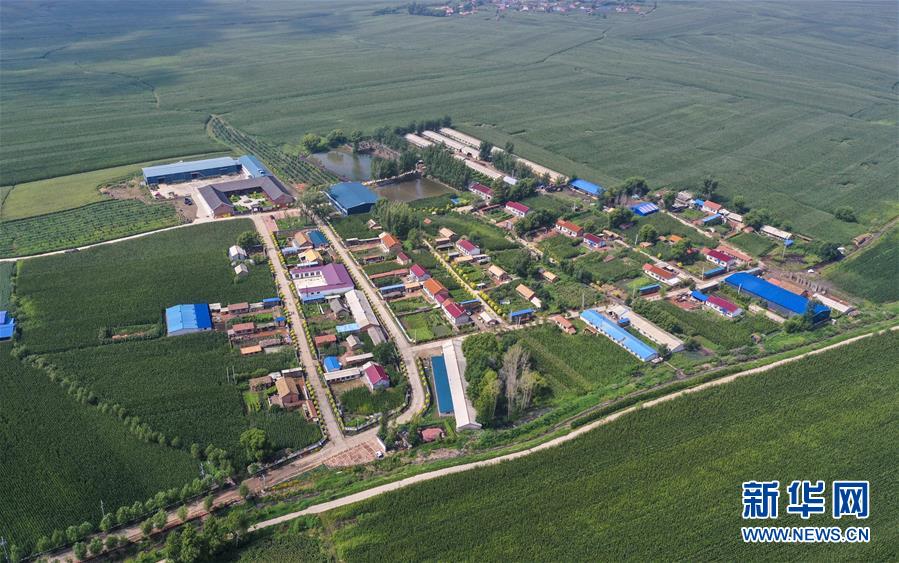 走向我们的小康生活丨黑土地上是我家——在吉林，一瞥中国东北乡村美丽未来