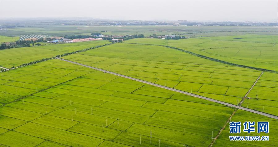 走向我们的小康生活丨黑土地上是我家——在吉林，一瞥中国东北乡村美丽未来