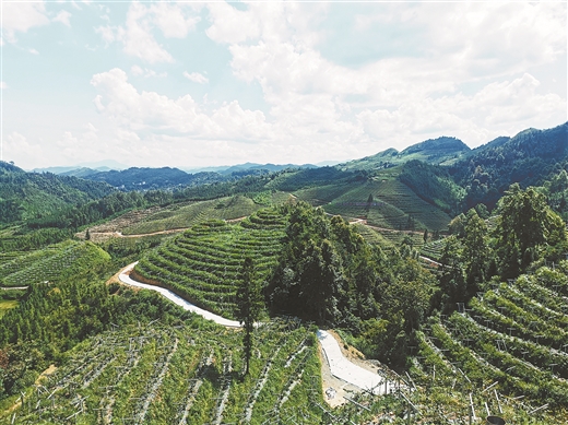 幸福从绿水青山中来——水土保持法修订实施十周年看八桂变迁