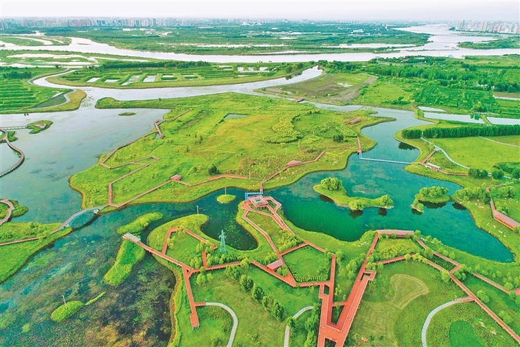 哈尔滨：万顷湿地与江相生相伴