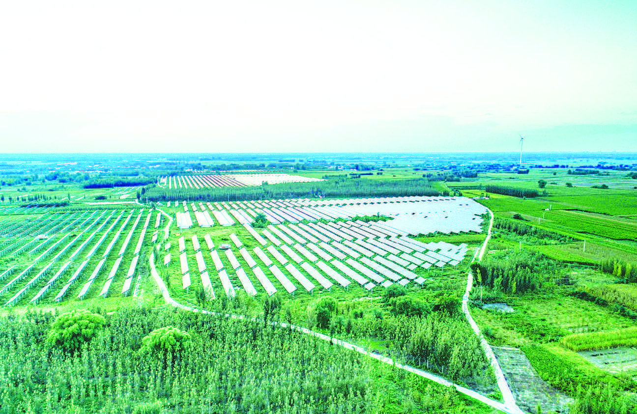 河北省平乡县坚持绿色发展理念 实现光伏和现代农业融合