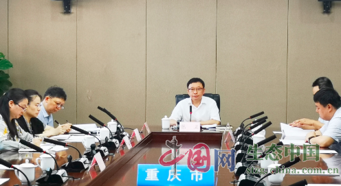 重庆市生态环境局召开2021年环评工作培训会