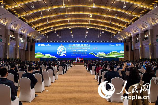10月11日，联合国《生物多样性公约》缔约方大会第十五次会议（COP15）在云南昆明开幕。（人民网记者翁奇羽摄）