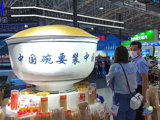 第29届中国杨凌农业高新科技成果博览会成功举办