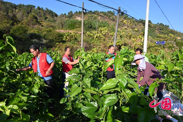 生态产业：驻村工作队助力村民养蚕 编织致富“新丝路”