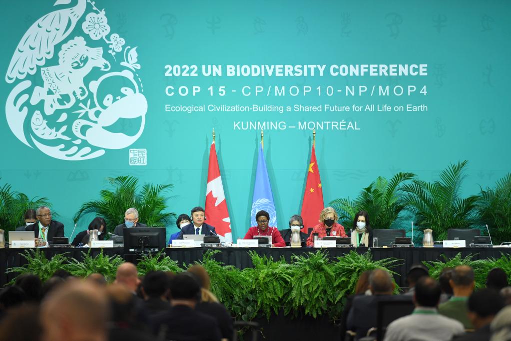 国际社会赞扬中国引领和推动全球生物多样性保护