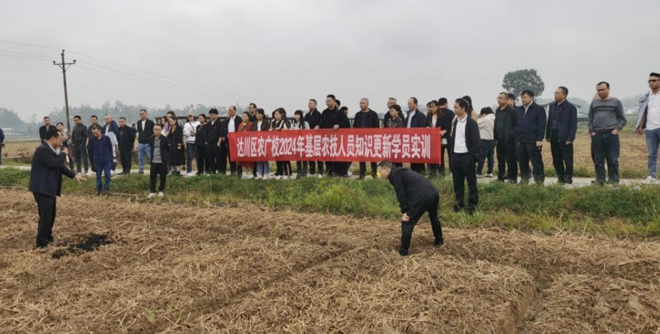 四川达州达川区：走好乡村振兴路 农技培训到田间(图2)