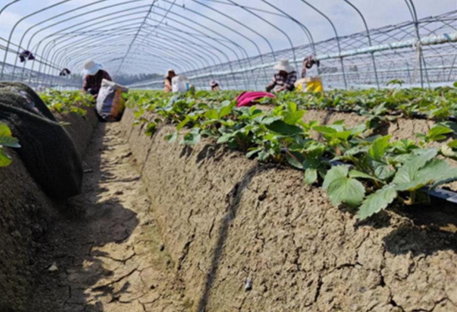 1732092437821.png 1732092437821.png